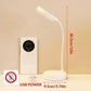 Adjustable LED Desk Lamp with Warm & White Light
