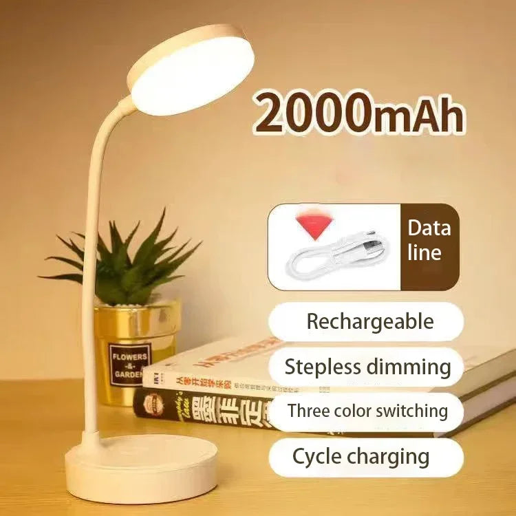 Adjustable LED Desk Lamp with Warm & White Light