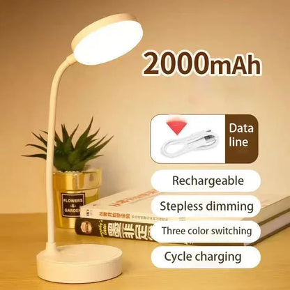 Adjustable LED Desk Lamp with Warm & White Light