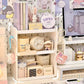 Multi-Functional Desk Organizer